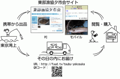 史上初！!漁師が東京湾の船上からインターネット販売！ １２時間以内に活魚を食卓にお届け！