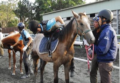 馬と共に生徒が成長する高校　「馬の学校 東関東馬事高等学院」では、10月より競走馬を育てる授業をスタートします。